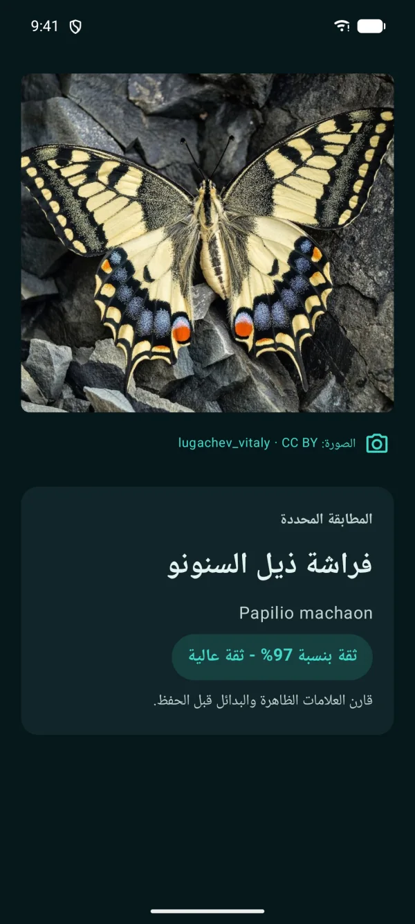 Butterfly Discover — الفراشات والعث، بدون إنترنت