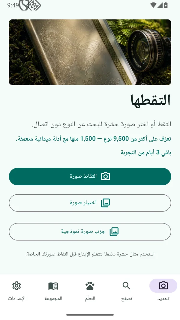 Insect Discover: تعريف حشرات