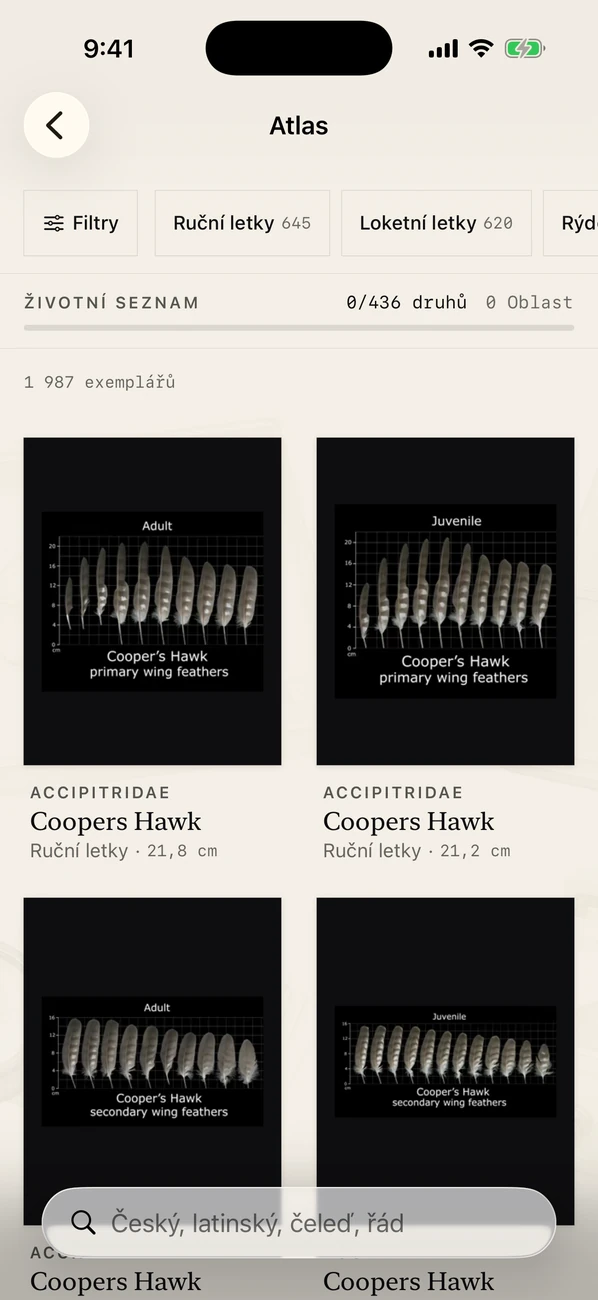 Plumes: Feather Atlas — ID ptačího peří a průvodce terénem