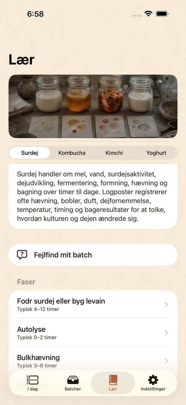 Brinepost: Sourdough & Ferment — Surdej, kombucha, kimchi & yoghurt