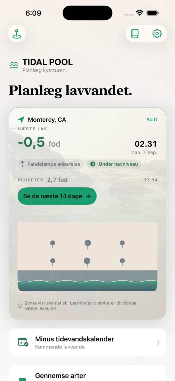 Tidal Pool: Tidepool Timing — Ram lavvandet. Mød livet.