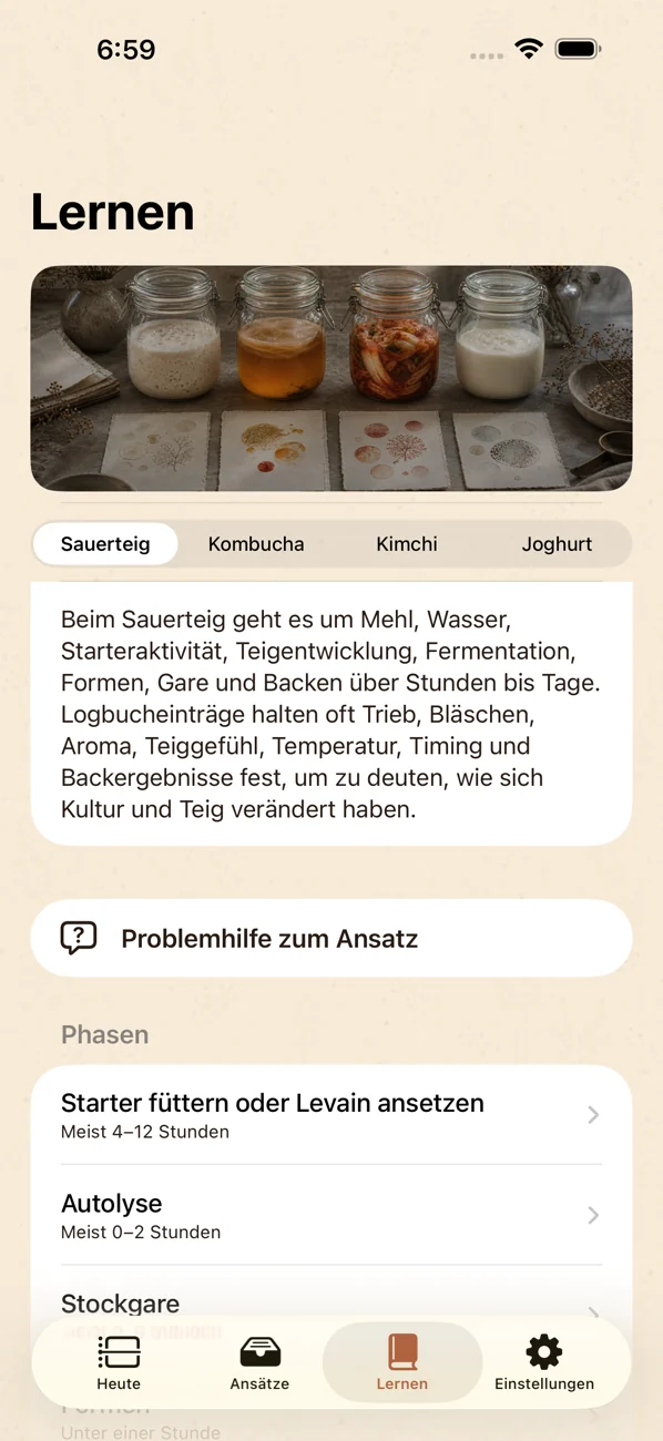 Brinepost: Sourdough & Ferment — Sauerteig, Kombucha, Kimchi und Joghurt
