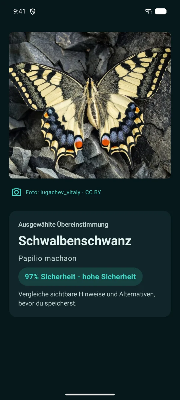 Butterfly Discover — Schmetterlinge & Nachtfalter