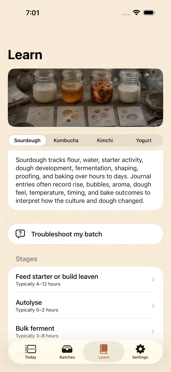 Brinepost: Sourdough & Ferment — Sourdough, kombucha, kimchi & yogurt