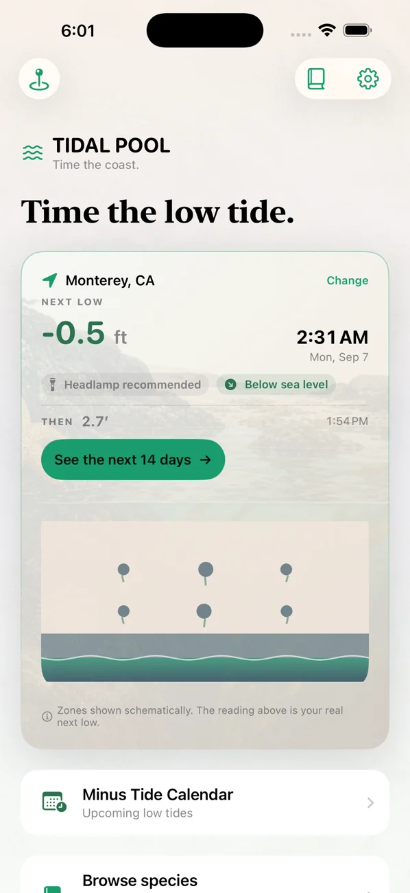 Tidal Pool: Tidepool Timing — Plan the low tide. Meet life.