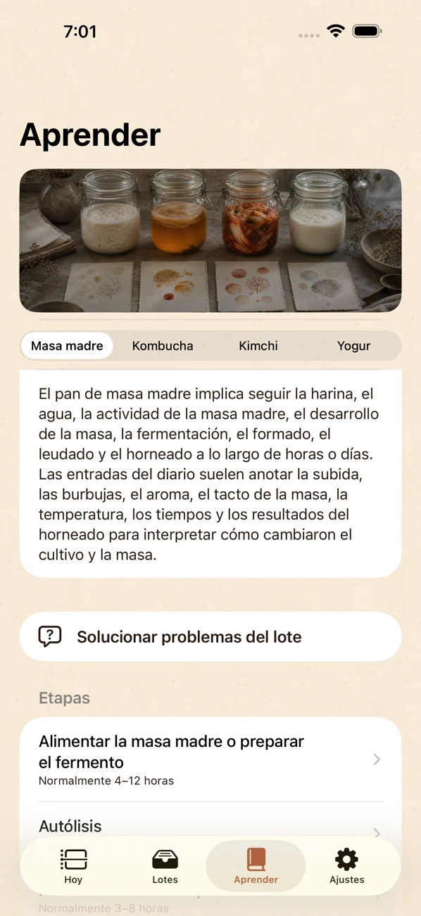 Brinepost: Sourdough & Ferment — Masa madre, kombucha, kimchi y yogur