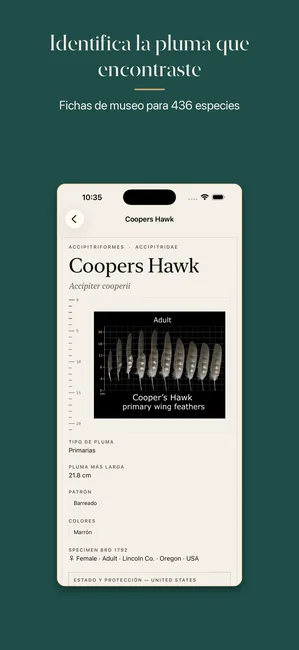 Plumes screenshot