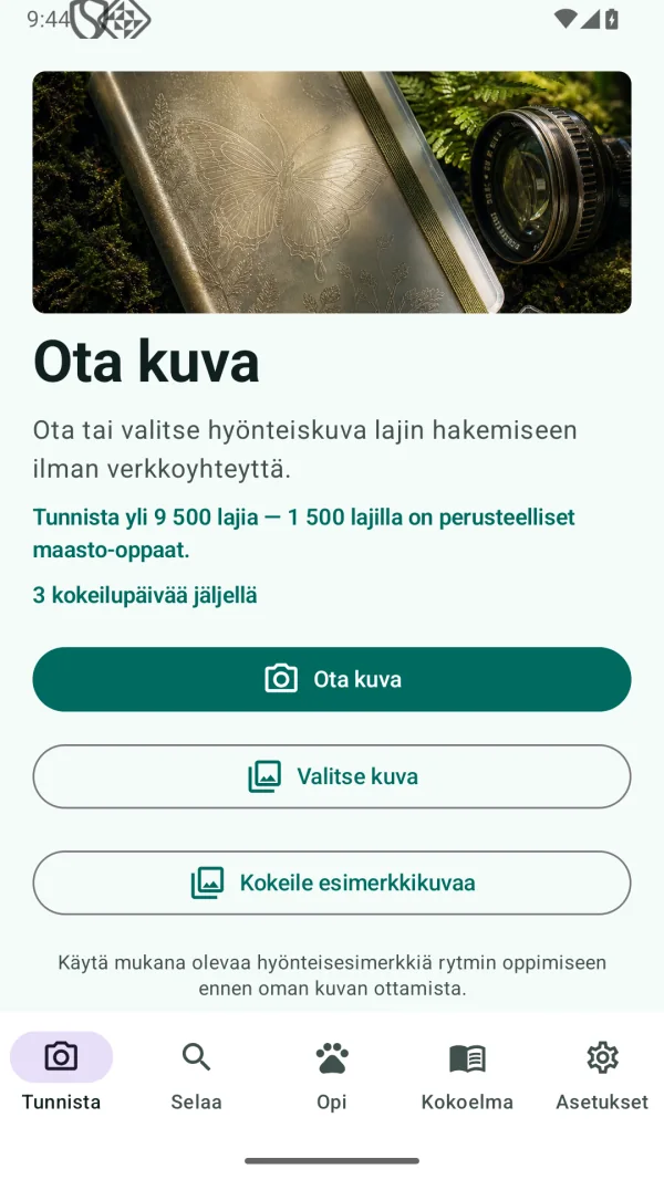 Insect Discover: Hyönteiset