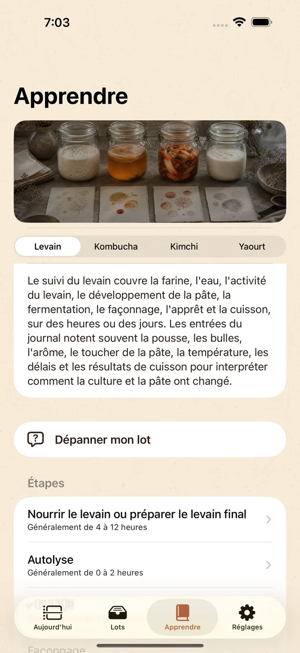 Brinepost: Sourdough & Ferment — Levain, kombucha, kimchi & yaourt