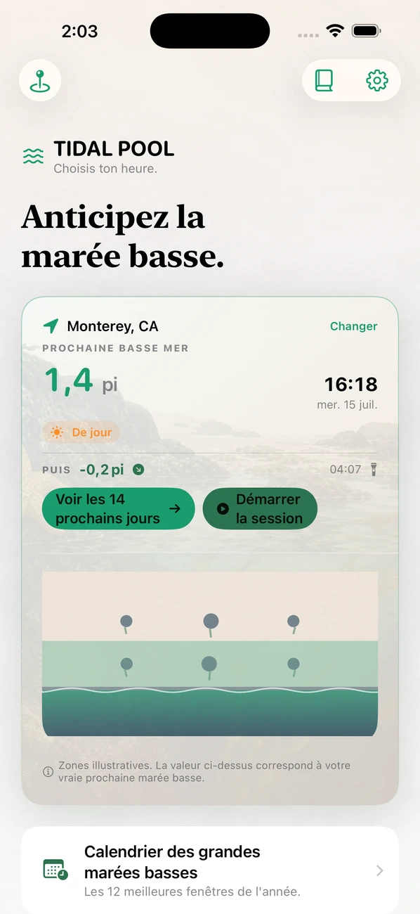 Tidal Pool: Tidepool Timing — Vise la basse mer. Observe.