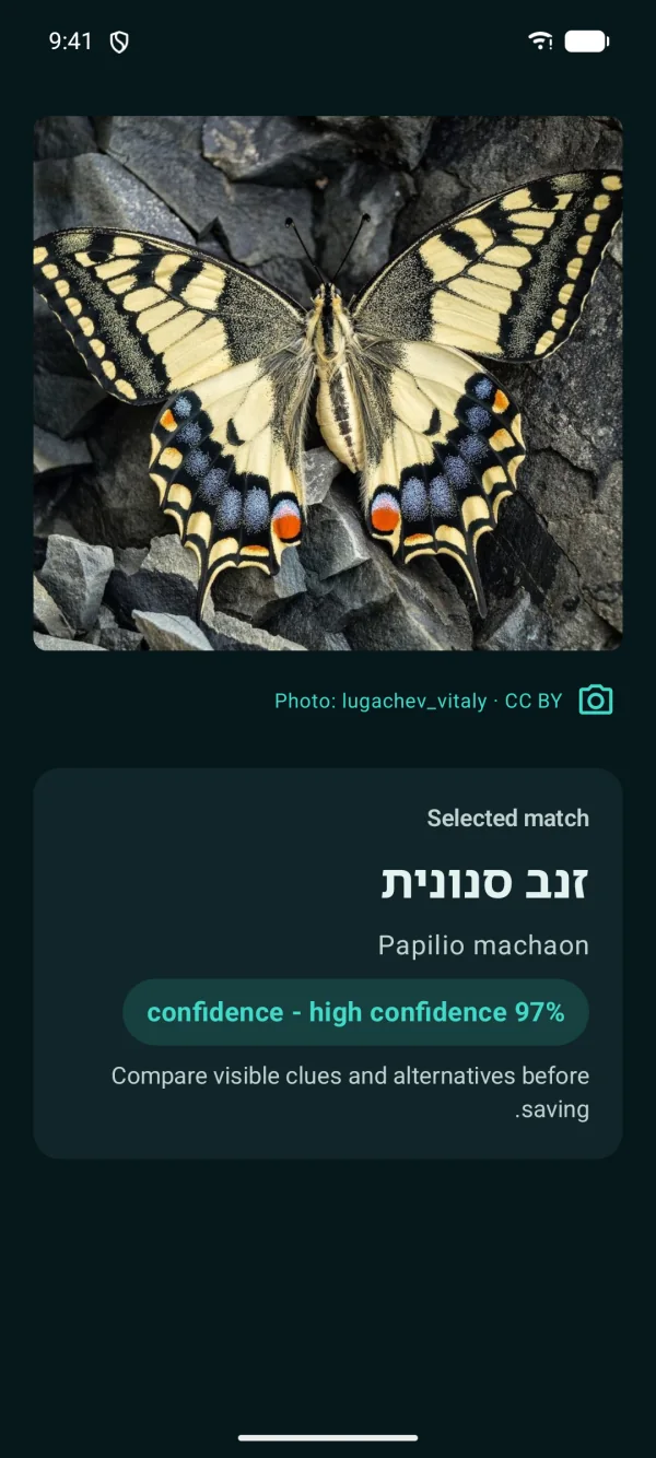 Butterfly Discover — פרפרים ועשים, ללא אינטרנט