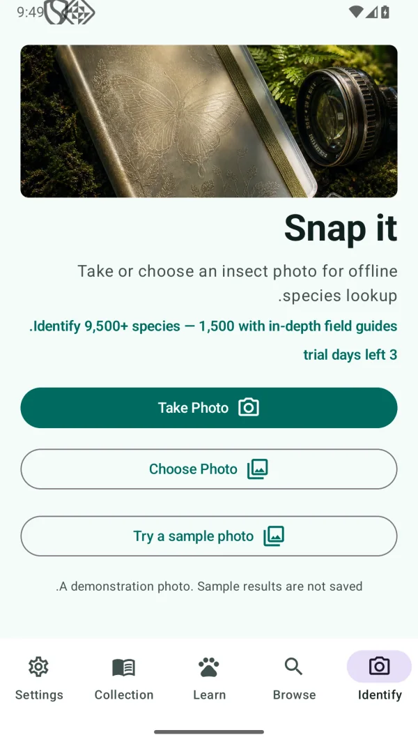 Insect Discover: זיהוי חרקים