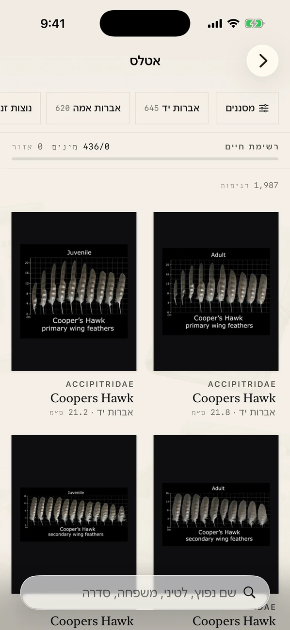 Plumes: Feather Atlas — מזהה נוצת ציפורים ומדריך שטח