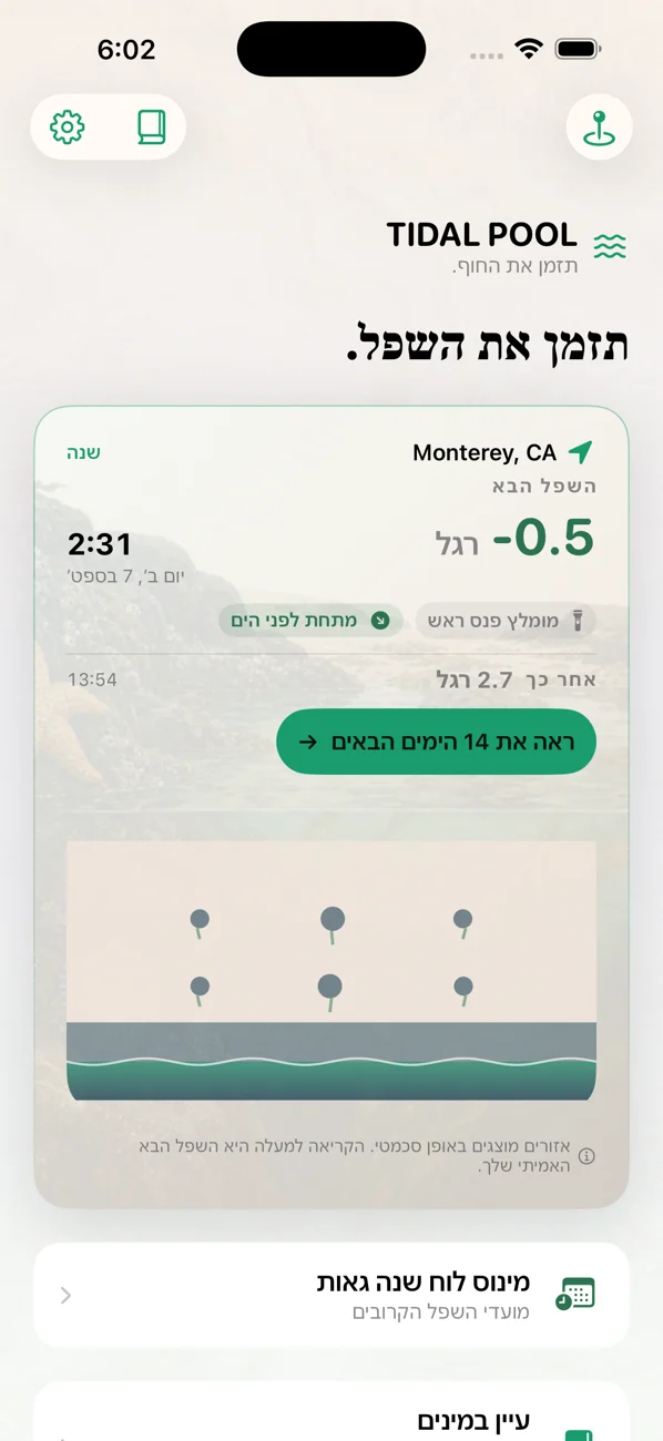 Tidal Pool: Tidepool Timing — כוון לשפל. פגוש את החיים.