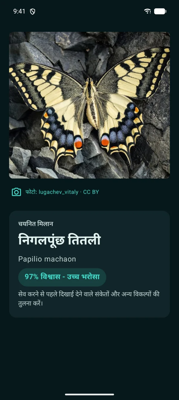 Butterfly Discover — तितलियाँ और पतंगे, ऑफलाइन