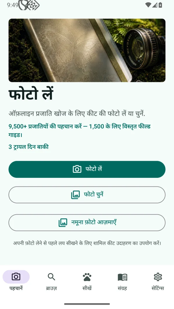 Insect Discover: कीट पहचान