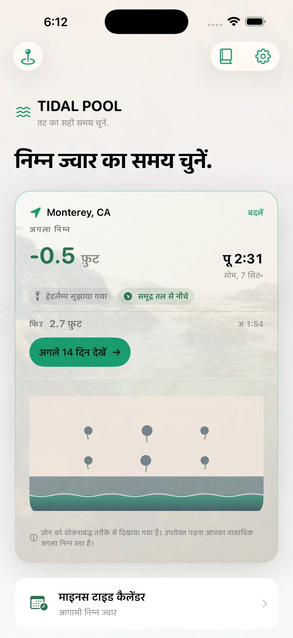 Tidal Pool: Tidepool Timing — कम ज्वार चुनें। जीव देखें।