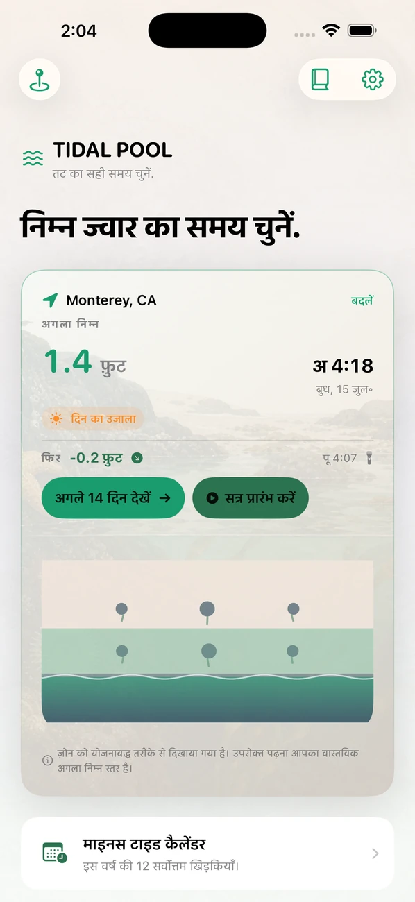 Tidal Pool: Tidepool Timing — कम ज्वार चुनें। जीव देखें।