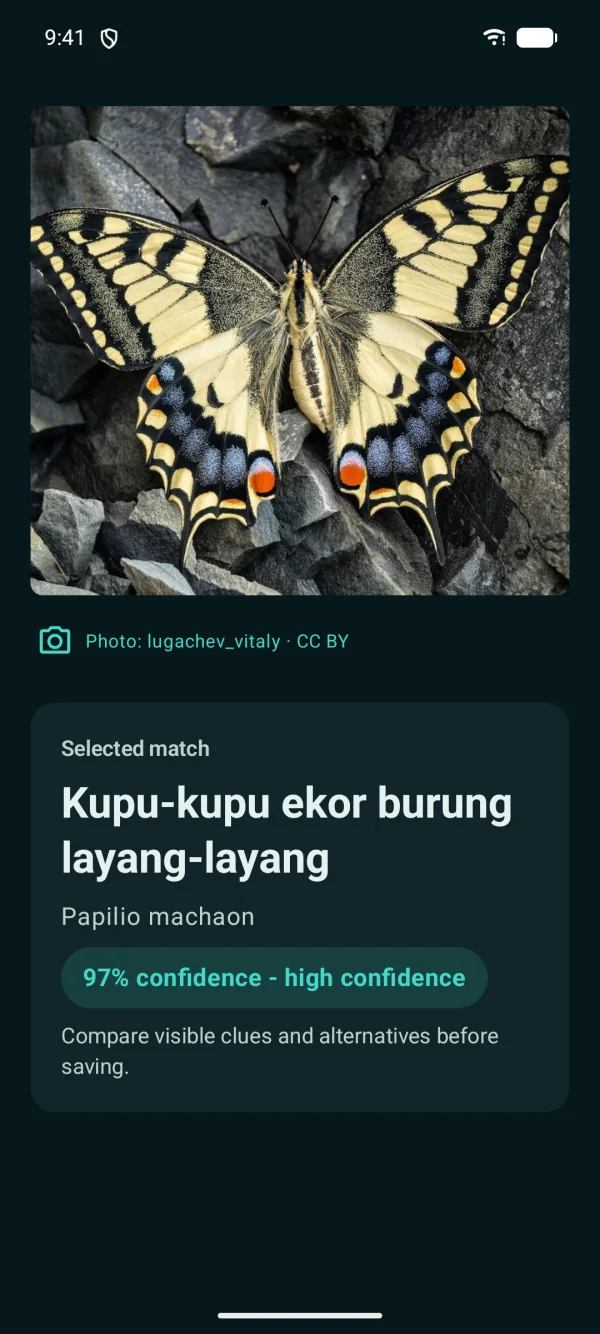 Butterfly Discover — Kupu-kupu & ngengat, offline