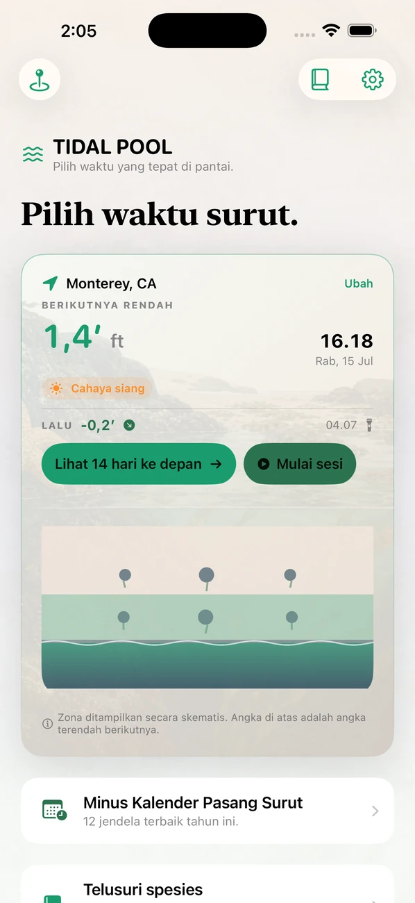 Tidal Pool: Tidepool Timing — Incar surut. Temui satwa.