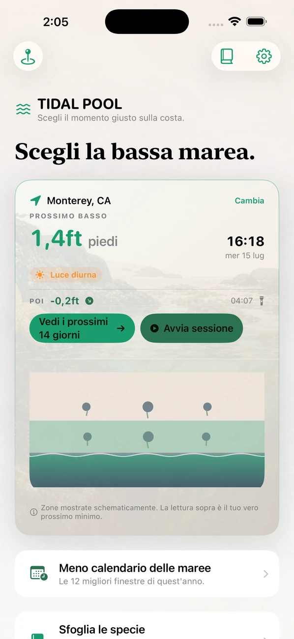 Tidal Pool: Tidepool Timing — Calcola la bassa marea.