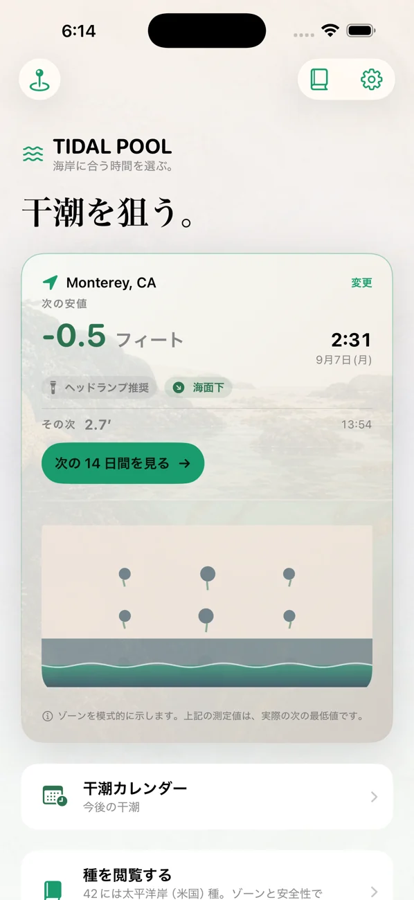 Tidal Pool: Tidepool Timing — 干潮を狙う。生きものに会う。