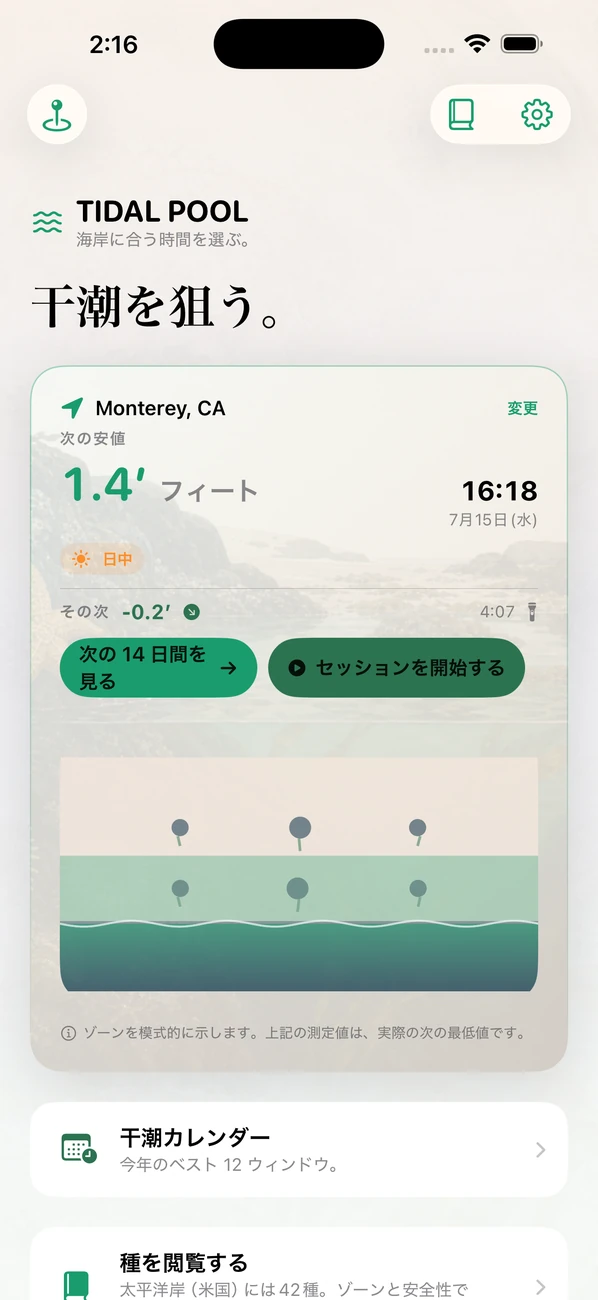 Tidal Pool: Tidepool Timing — 干潮を狙う。生きものに会う。