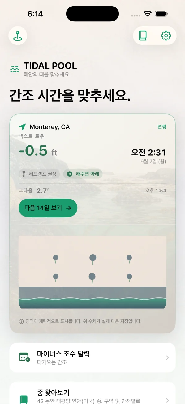 Tidal Pool: Tidepool Timing — 간조를 노려라. 생물을 만나라.