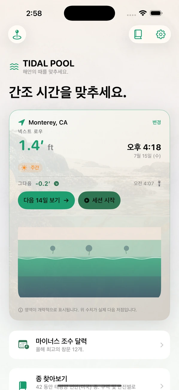 Tidal Pool: Tidepool Timing — 간조를 노려라. 생물을 만나라.