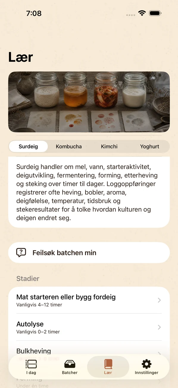 Brinepost: Sourdough & Ferment — Surdeig, kombucha, kimchi og yoghurt