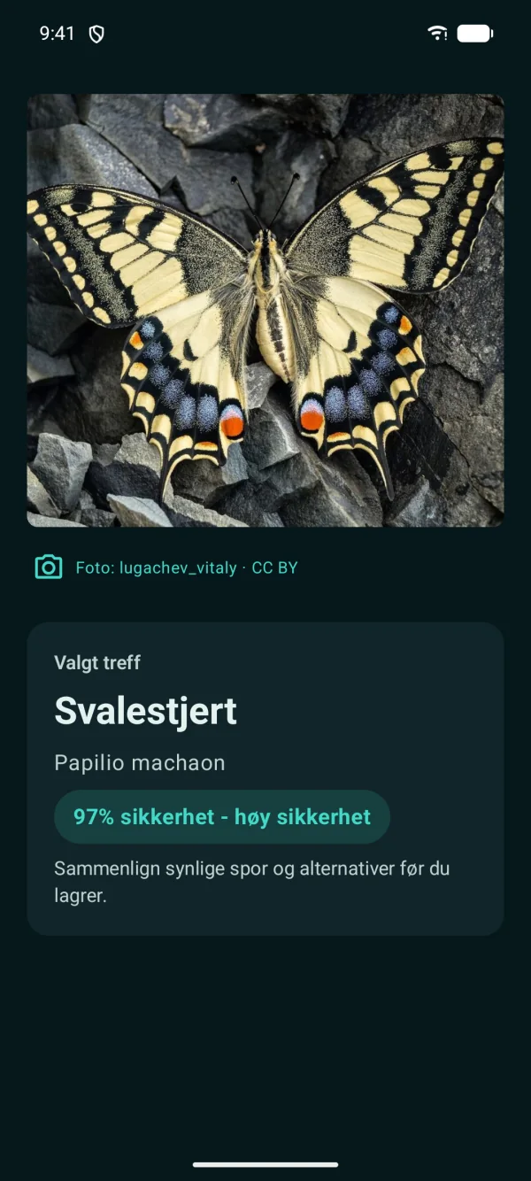 Butterfly Discover — Sommerfugler, frakoblet