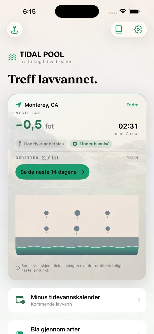 Tidal Pool: Tidepool Timing — Treff lavvannet. Møt livet.