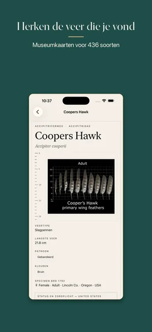 Plumes screenshot