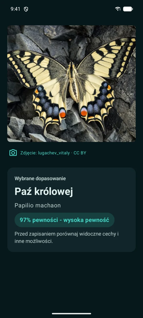 Butterfly Discover — Motyle i ćmy, offline