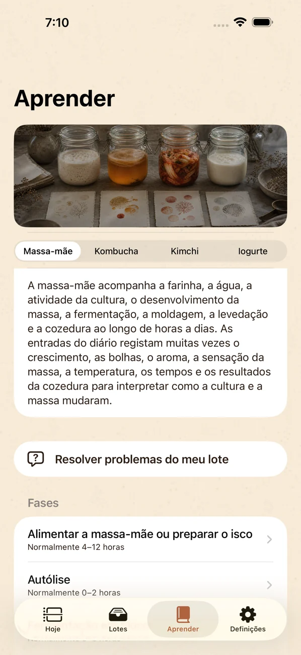 Brinepost: Sourdough & Ferment — Massa fermentada, kombuchá, kimchi e iogurte