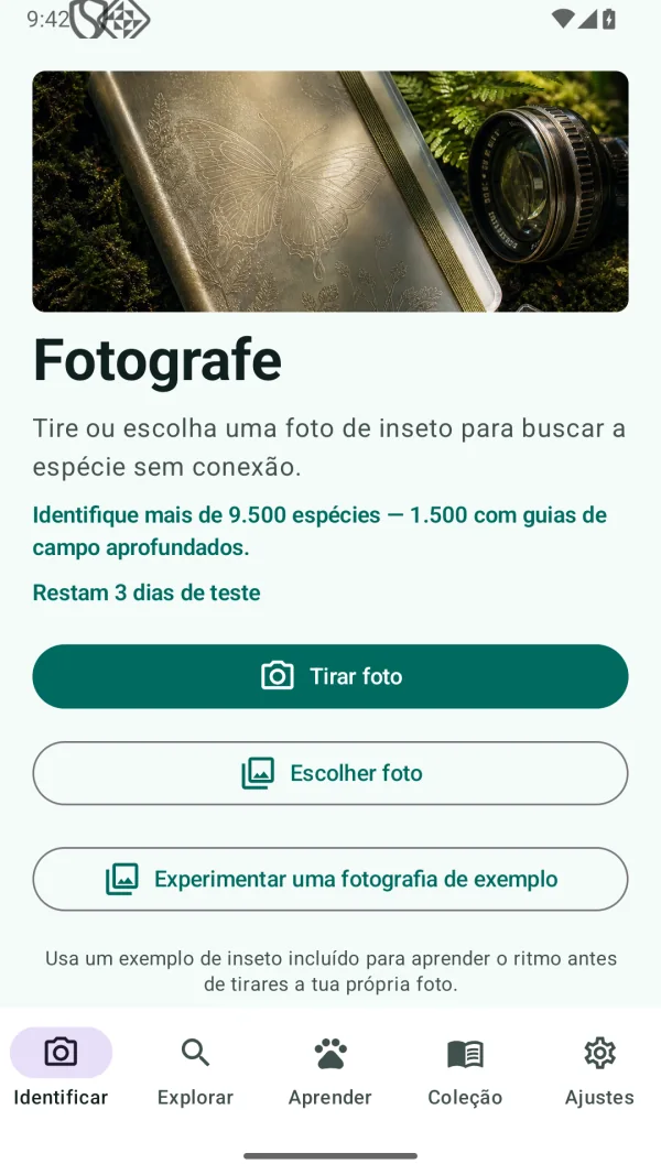 Insect Discover: ID Insetos