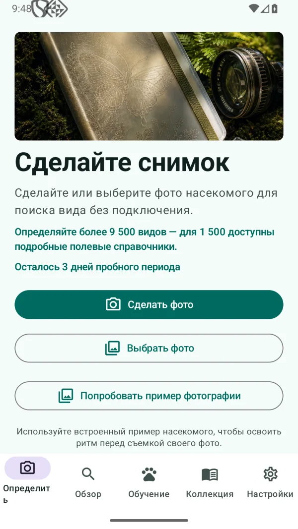 Insect Discover: насекомые