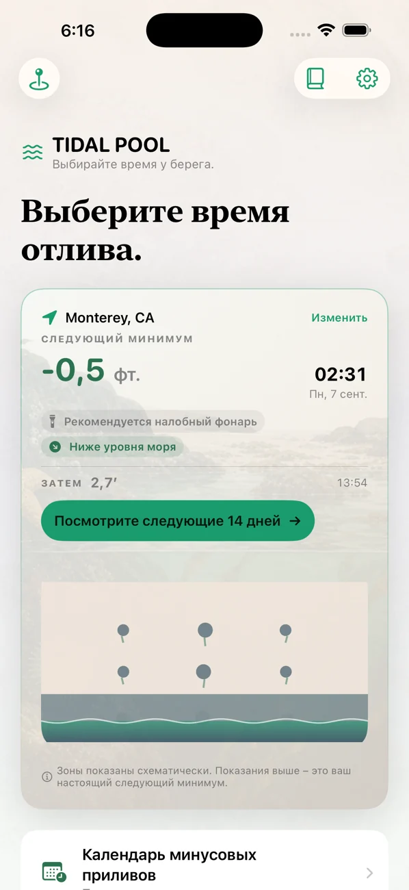 Tidal Pool: Tidepool Timing — Отлив по часам. Жизнь у ног.