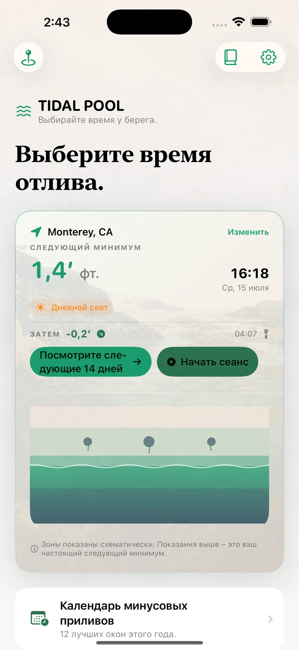 Tidal Pool: Tidepool Timing — Отлив по часам. Жизнь у ног.