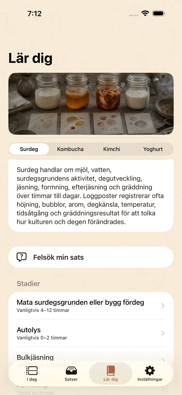 Brinepost: Sourdough & Ferment — Surdeg, kombucha, kimchi & yoghurt