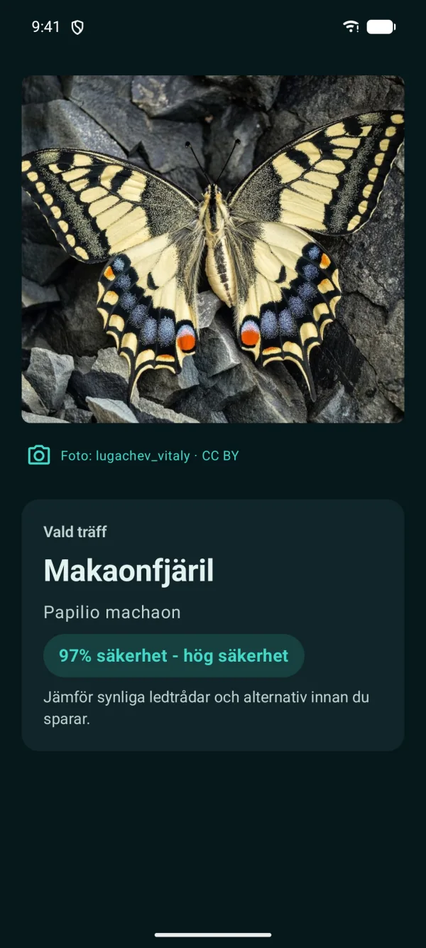 Butterfly Discover — Fjärilar & nattfjärilar