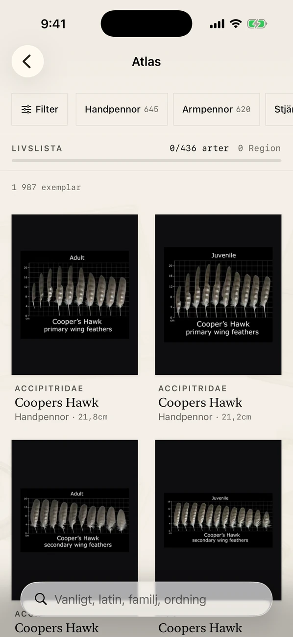 Plumes: Feather Atlas — Fågelfjäder ID & fältguide
