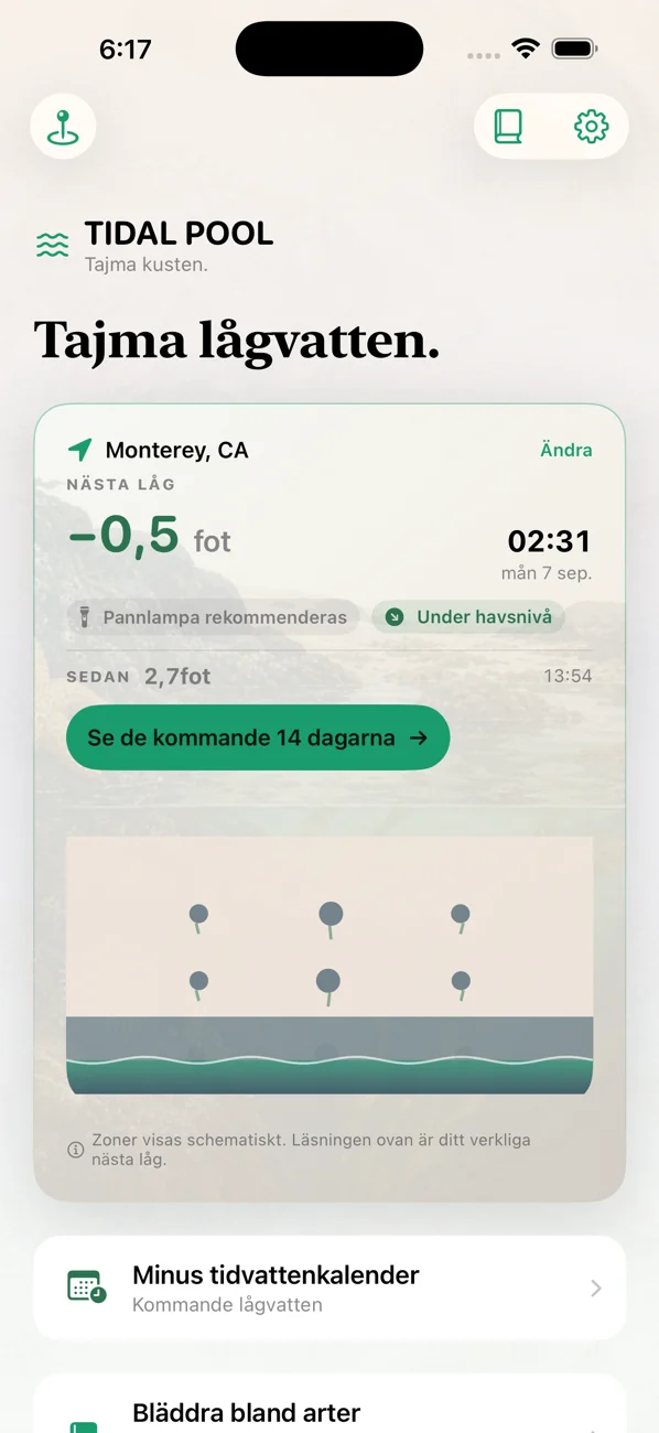 Tidal Pool: Tidepool Timing — Pricka lågvattnet.
