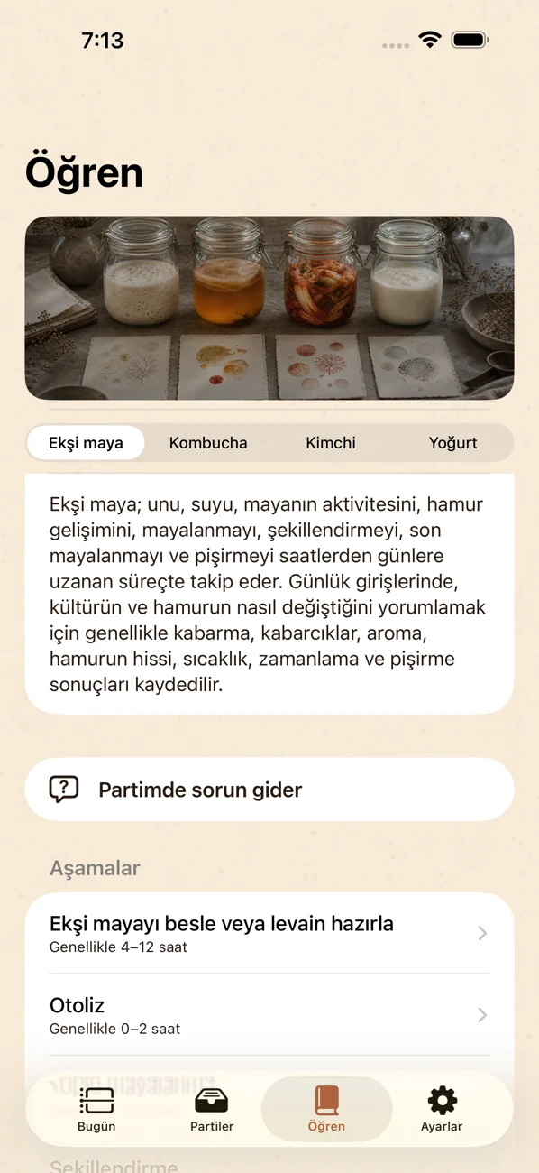 Brinepost: Sourdough & Ferment — Ekşi maya, kombucha, kimchi ve yoğurt