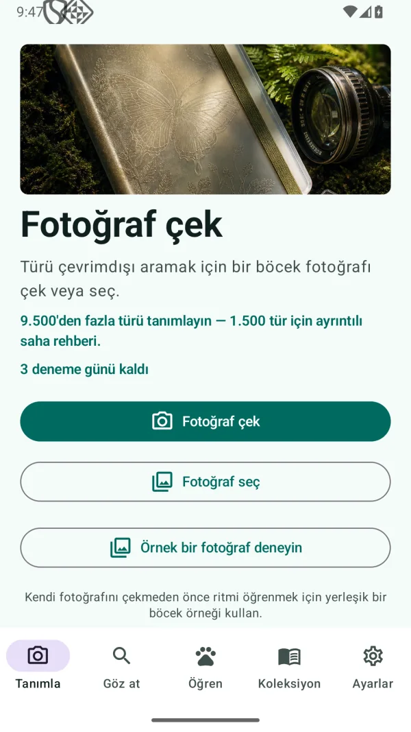 Insect Discover: Böcek Tanı