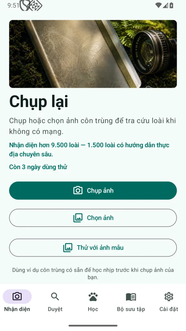 Insect Discover: Côn Trùng