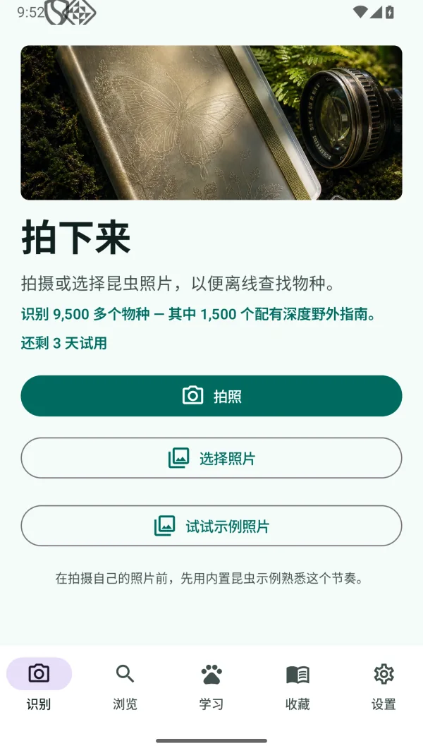 Insect Discover 昆虫识别