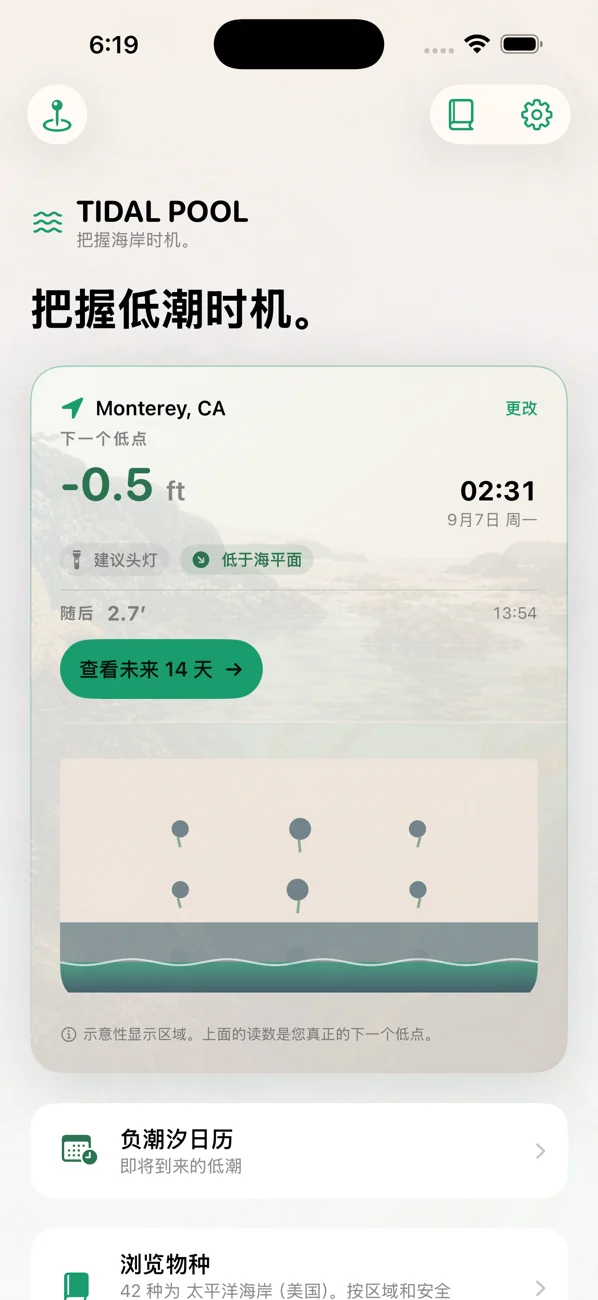Tidal Pool: Tidepool Timing — 算准低潮，邂逅生灵