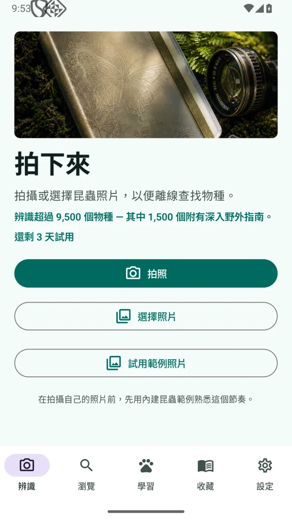 Insect Discover 昆蟲辨識