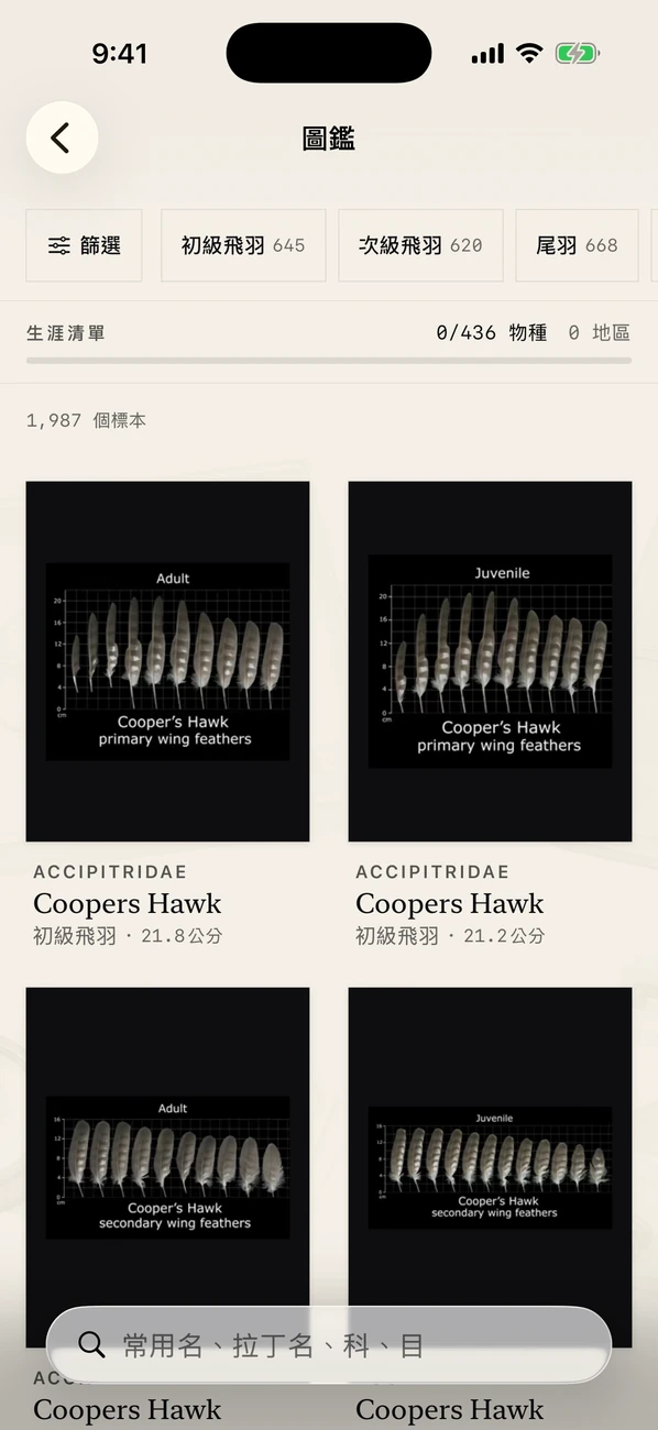 Plumes: Feather Atlas — 鳥類羽毛 ID 和現場指南